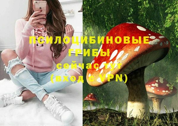 соль курить ск Алзамай