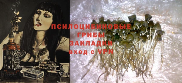 синтетический гашиш Алексин