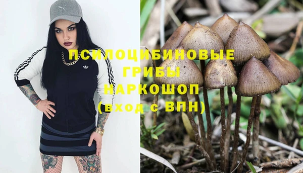 гидра Алексеевка