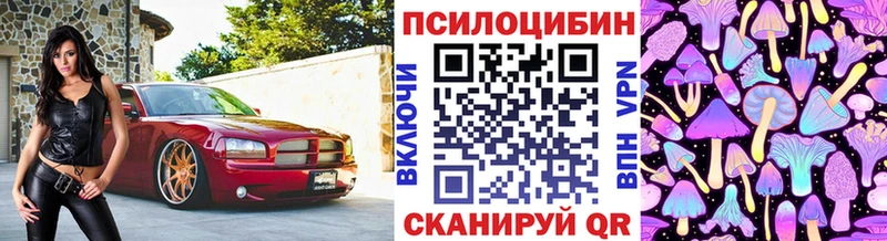 Псилоцибиновые грибы мицелий кракен ССЫЛКА Наволоки